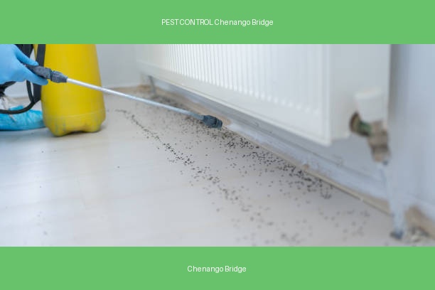 PEST CONTROL Chenango Bridge